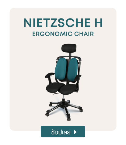 เก้าอี้สุขภาพ HARA CHAIR นั่งสบาย กระจายแรงกด ตามหลัก Ergonomic